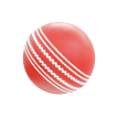 Cricket Betting icon